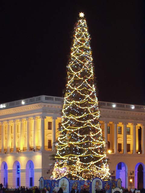 P1010040.jpg