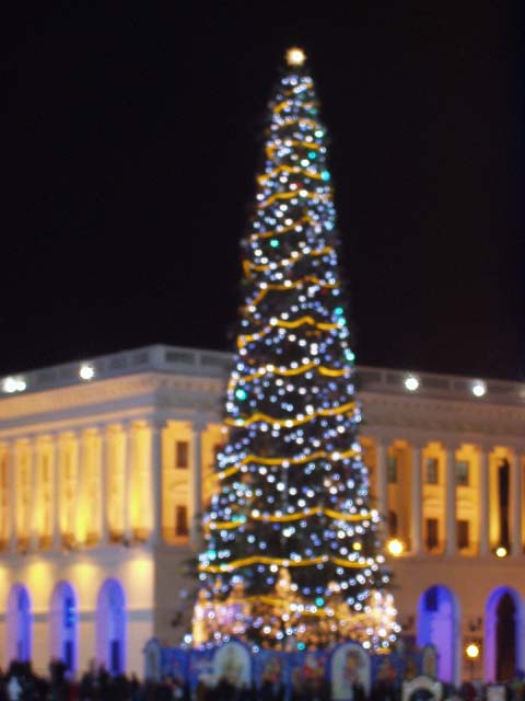 P1010042.jpg