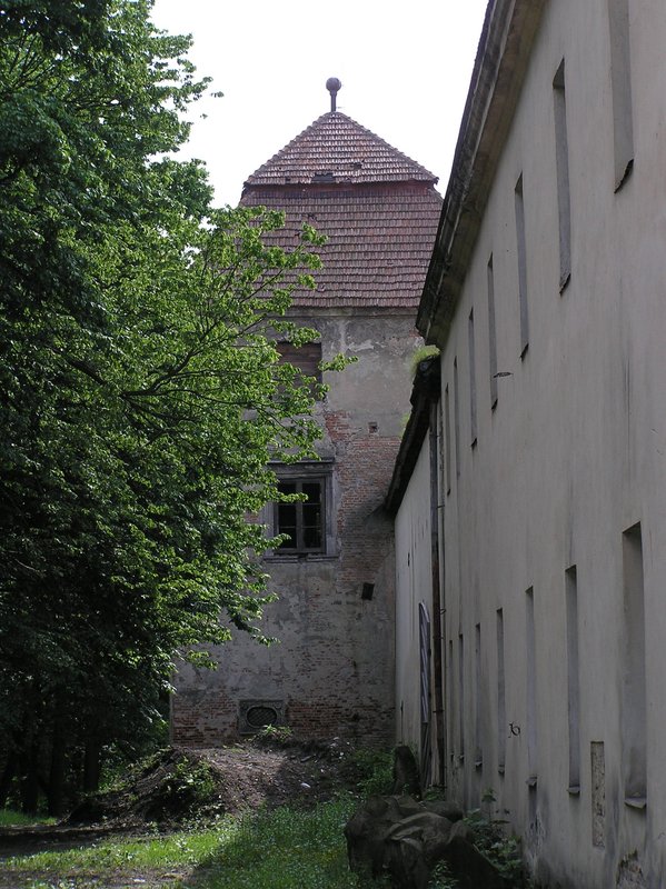 P6060030.JPG