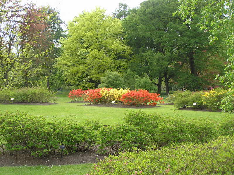 p5020111.jpg