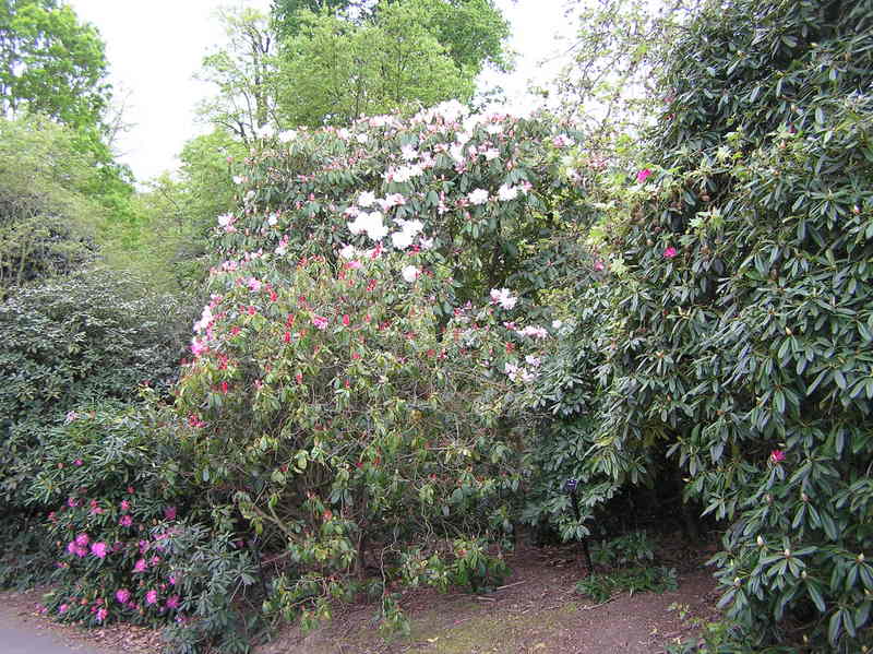 p5020114.jpg