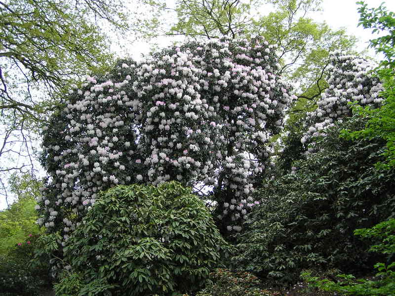 p5020118.jpg
