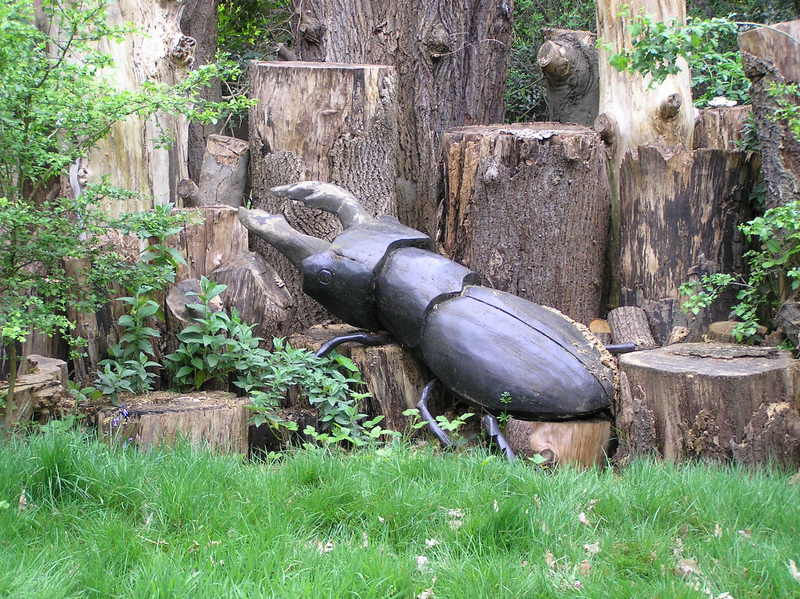 p5020127.jpg