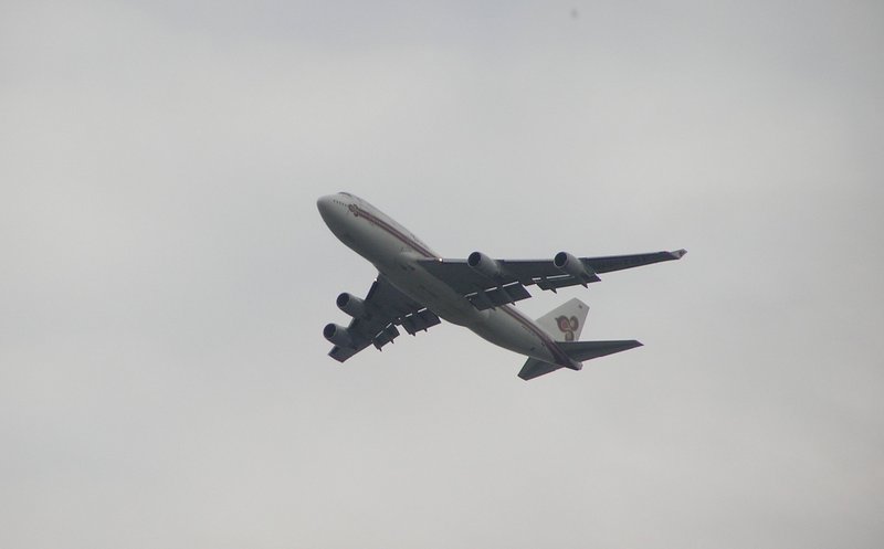 p5020144.jpg