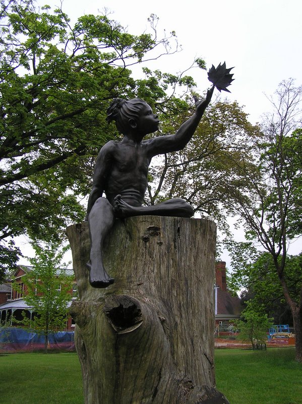 p5020147.jpg