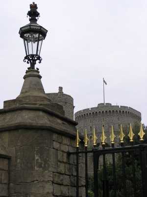 p4300008.jpg