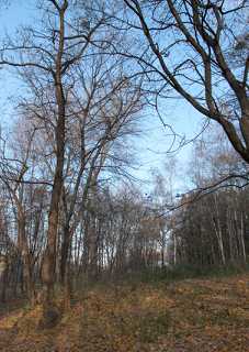 IMG_0119.jpg