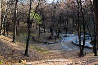 IMG_0126.jpg