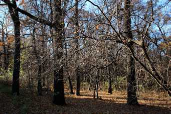 IMG_0146.jpg