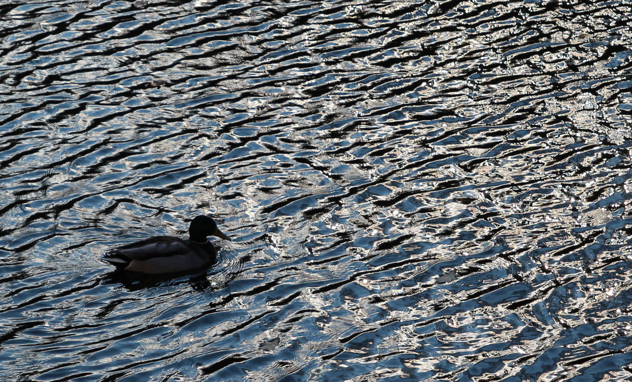 IMG_0124.jpg